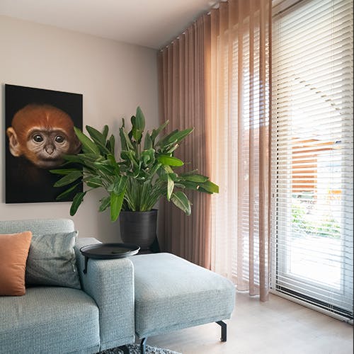 Raamdecoratie Rotterdam - Inspiratie 'Onze montageservice' 5