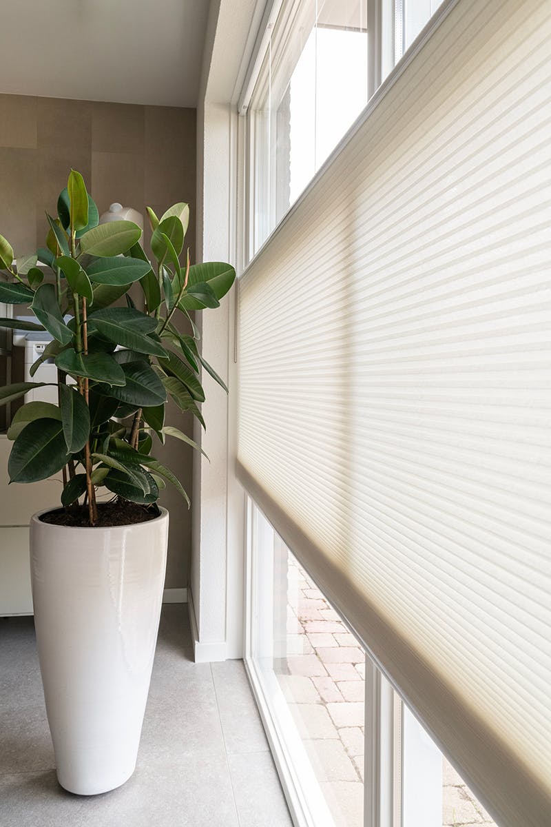 Kleuren plissegordijnen kantoor