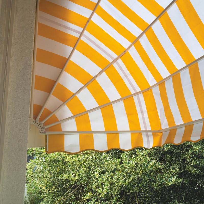 Voordelen markiezen kleuren (4)