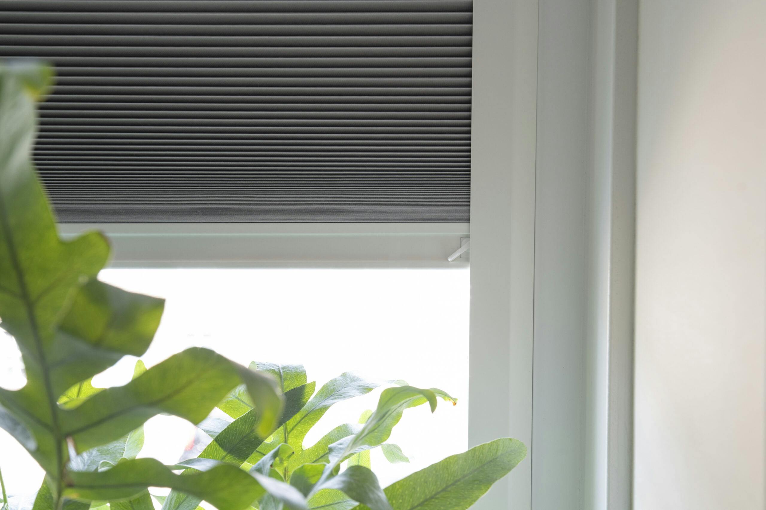 Verduisterende plisse gordijnen