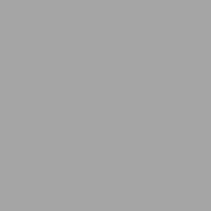 Aluminium (RAL9006)